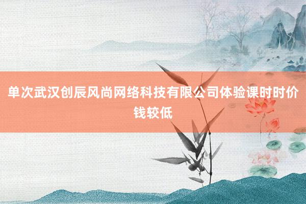 单次武汉创辰风尚网络科技有限公司体验课时时价钱较低